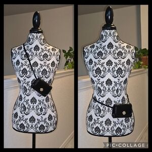 Zara Basic Collection Elegant Black Mini BumBag